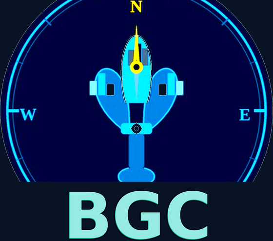 Bassi Consulting Group